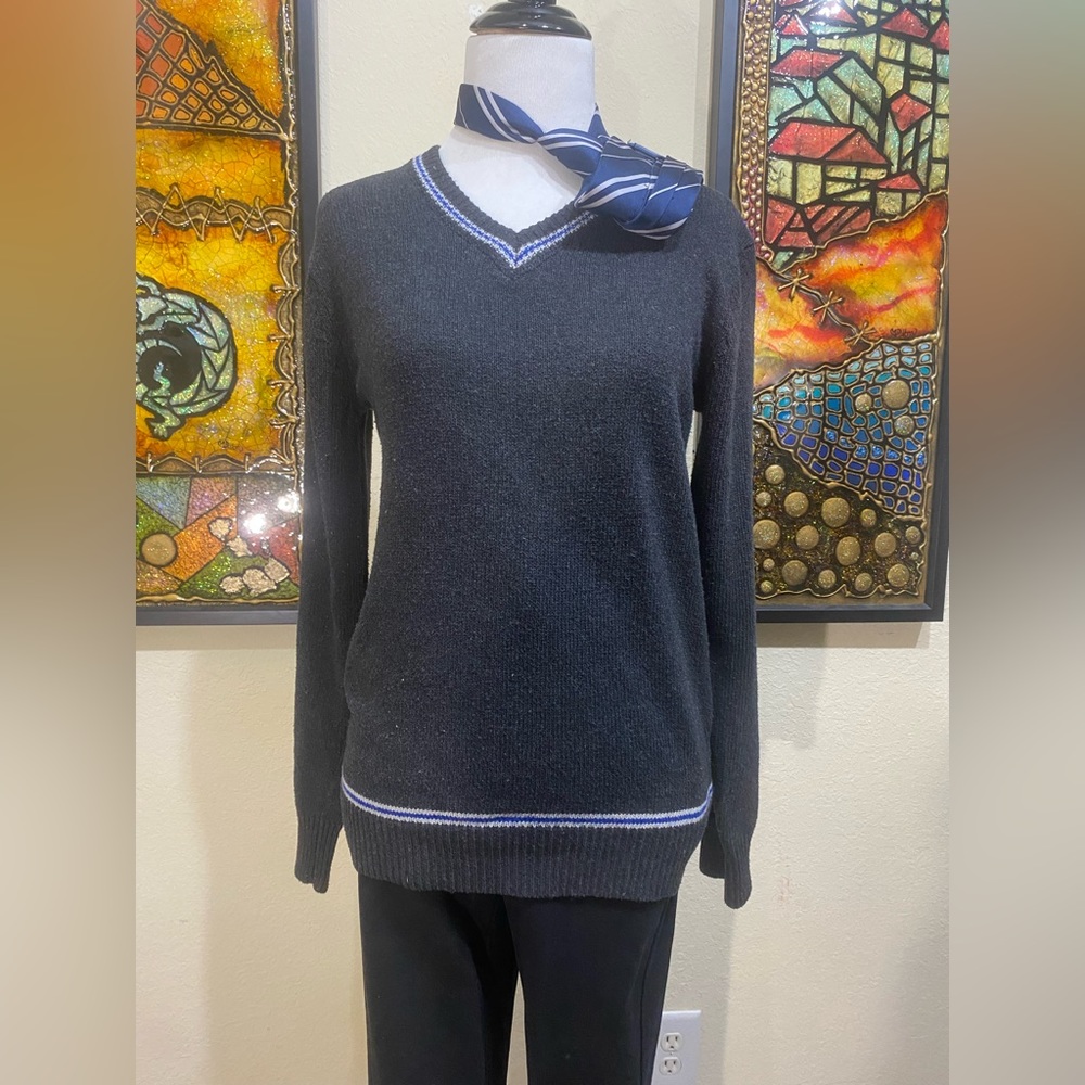Harry Potter Warner Bros. Hogwarts Ravenclaw Student Sweater
